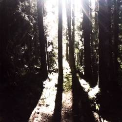 Ad'hurim : Untitled VI Ad'hurim : Untitled VI